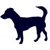 Jack Russell teriér- Samolepka na auto - pes v autě