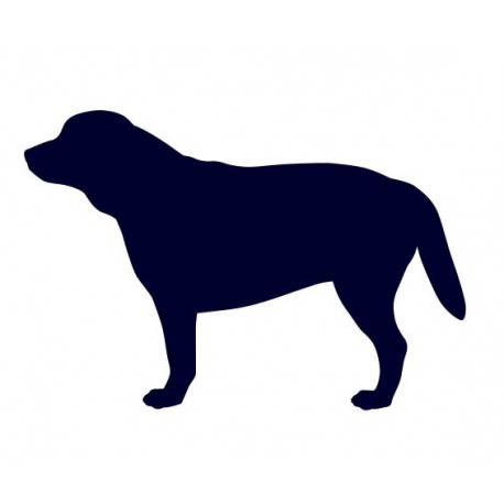 Labrador- Samolepka na auto - pes v autě